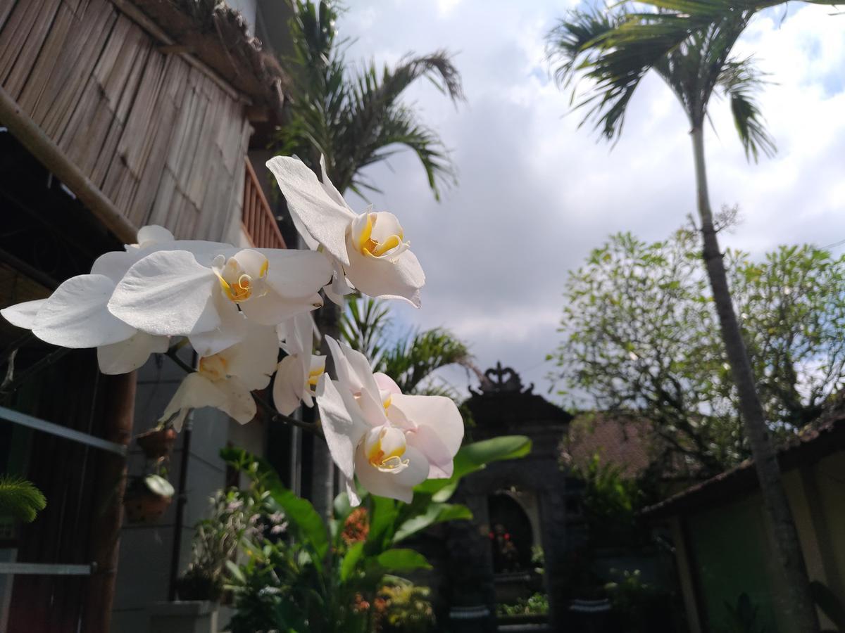 Mekenyem House Ubud Kültér fotó